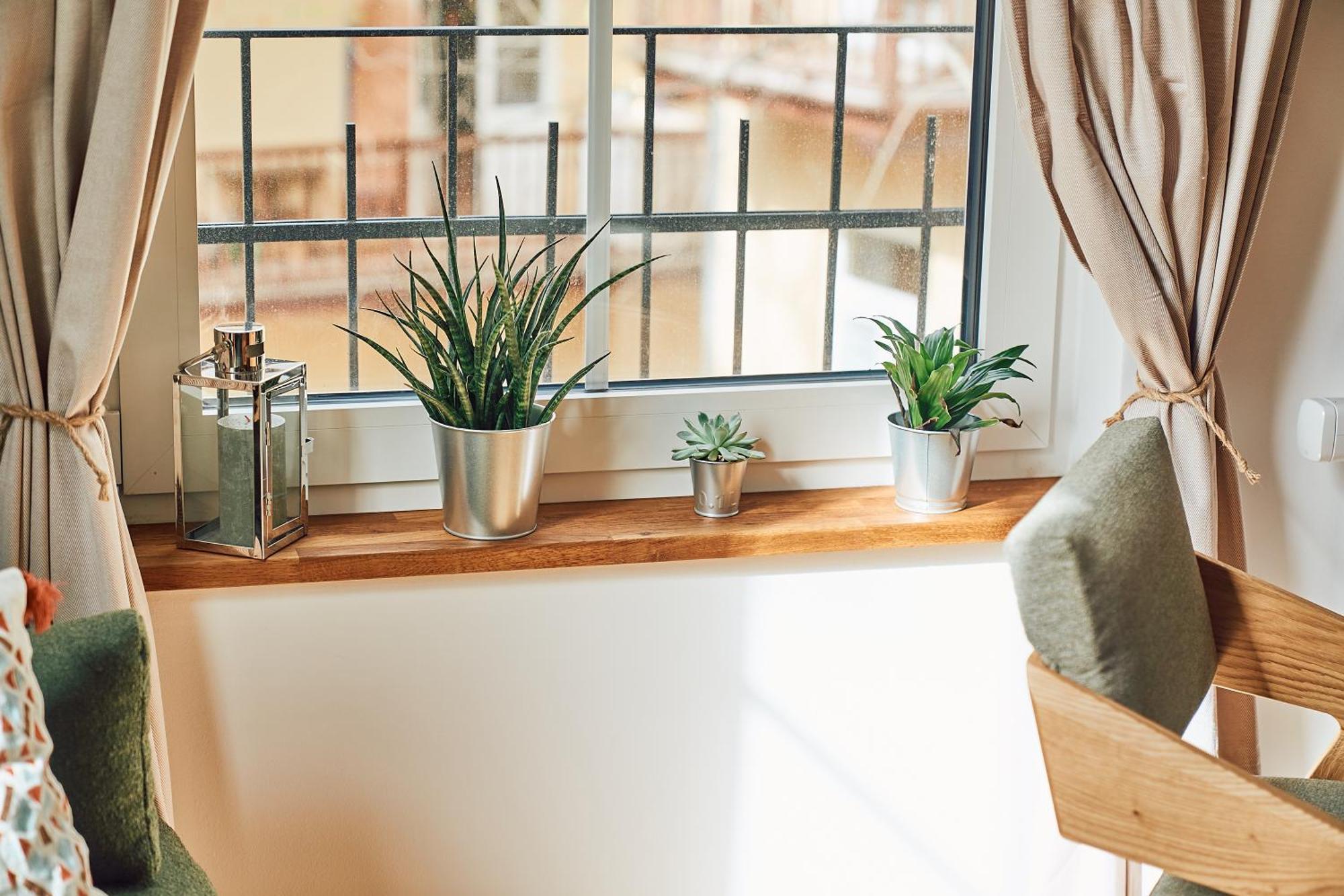 Tyzenhauz Apartments Siemiradzkiego Street Krakow Luaran gambar